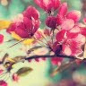 Meet your Posher, Daria